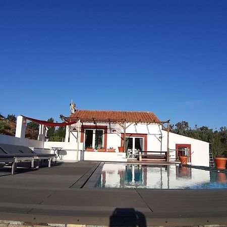 Gecko Pego Longo São Luis Exterior foto