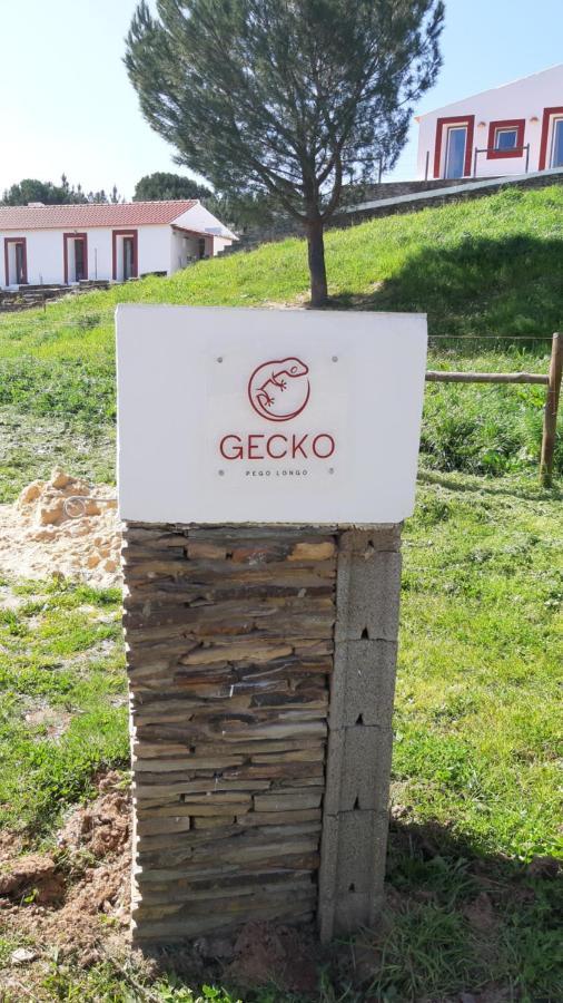 Gecko Pego Longo São Luis Exterior foto